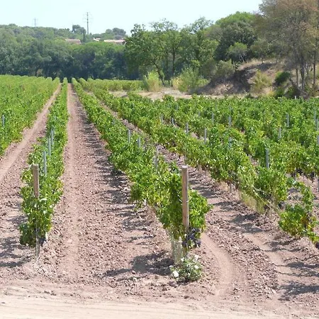 La Bastide Du Clos Des Roses - Teritoria Hotel 4*