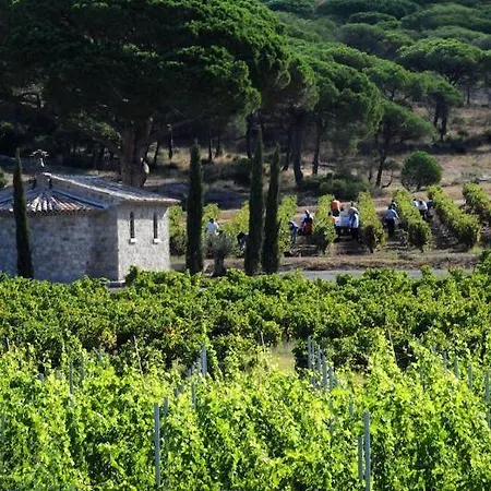 La Bastide Du Clos Des Roses - Les Collectionneurs 4* Fréjus