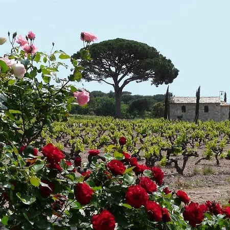 Hotel La Bastide Du Clos Des Roses - Les Collectionneurs